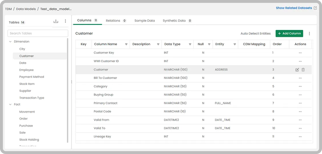Data Models of TDM